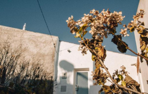 Casa da Figueira - Guest House
